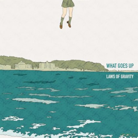What Goes Up: Laws Of Gravity [Winyl]