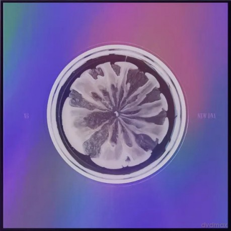 Xg: New Dna - X Ver [CD]