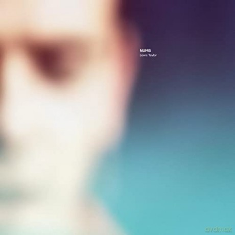 Lewis Taylor: Numb [2xWinyl]