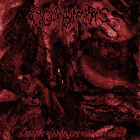 Ecchymosis: Psychopathic Concupiscence Towards Homicidal Lacerations [CD]