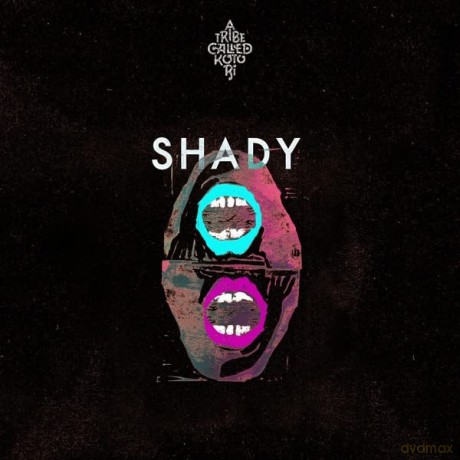 Shady: Shady [Winyl]