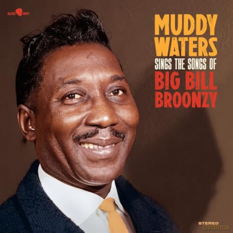 Muddy Waters: Sings Big Bill (Limited) [Winyl]