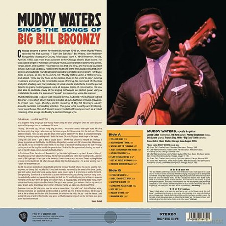 Muddy Waters: Sings Big Bill (Limited) [Winyl]