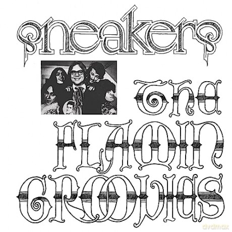 Flamin Groovies: Sneakers [Winyl]