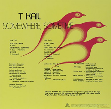 T Kail: Somewhere. Sometime [Winyl]