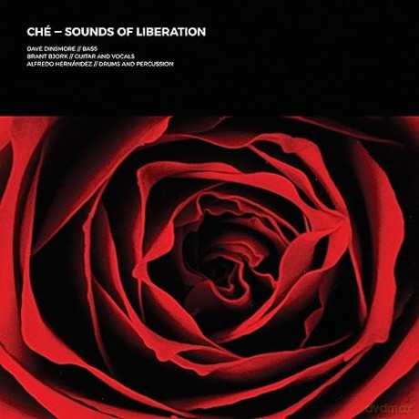 Che: Sounds Of Liberation [Winyl]