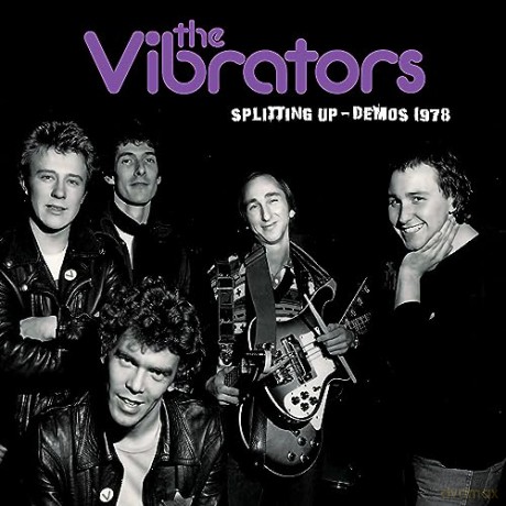 Vibrators: Splitting Up Demos 1978 [Winyl]
