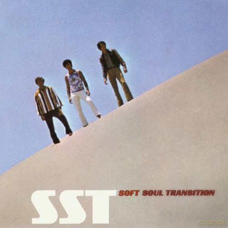 Soft Soul Transition: Sst [Winyl]