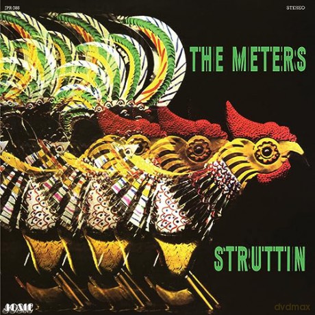 Meters: Struttin [Winyl]
