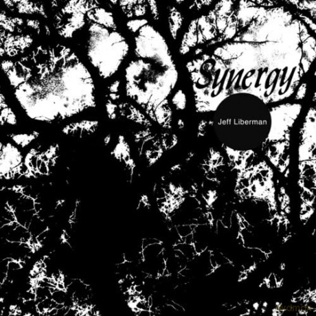 Jeff Liberman: Synergy [Winyl]