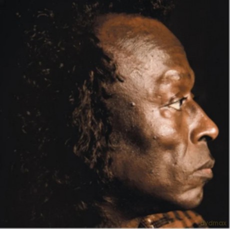 Miles Davis: The Best Of Miles Davis (White) [Winyl]