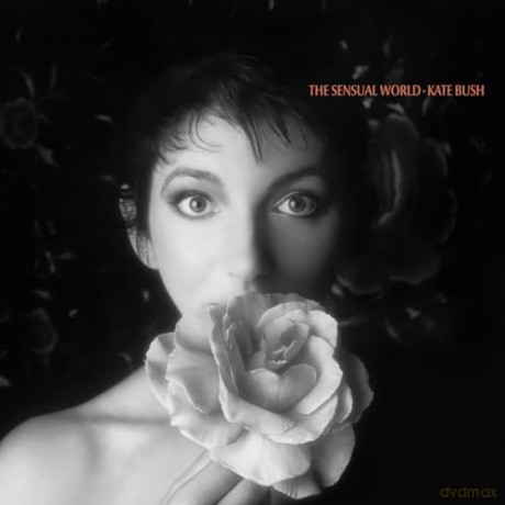 Kate Bush: The Sensual World (2018 Remaster) [Winyl]