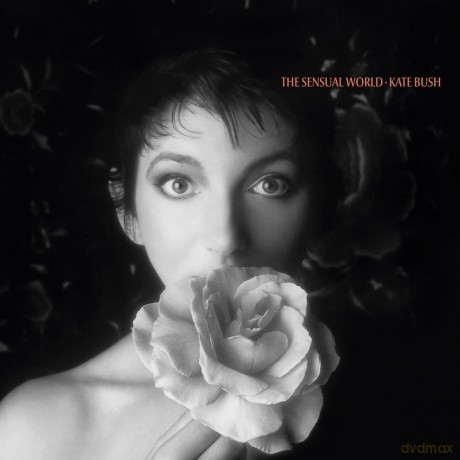 Kate Bush: The Sensual World (2018 Remaster) [Winyl]