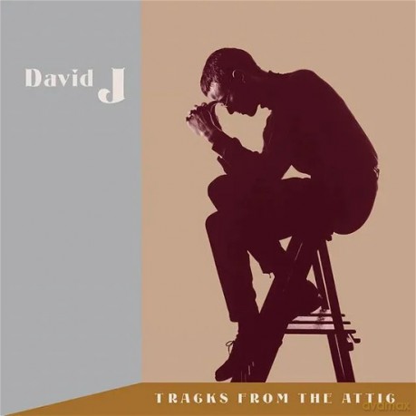 David J: Tracks From The Attic (RSD 2023) [Winyl]