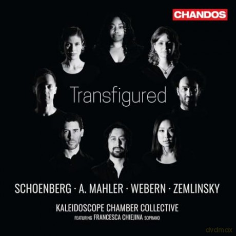 Kaleidoscope Chamber Coll: Transfigured [CD]