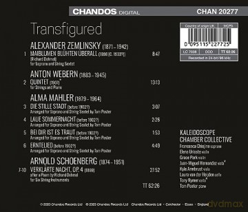 Kaleidoscope Chamber Coll: Transfigured [CD]