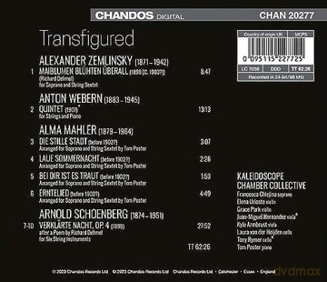 Kaleidoscope Chamber Coll: Transfigured [CD]