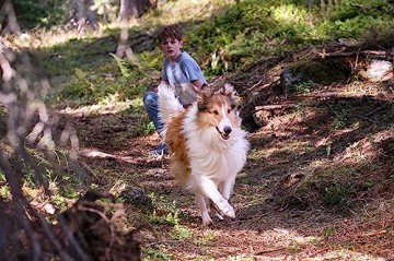 Lassie - A New Adventure (Lassie. Nowe Przygody) [Blu-Ray]