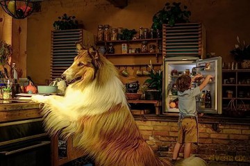 Lassie - A New Adventure (Lassie. Nowe Przygody) [Blu-Ray]