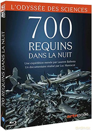 700 Requins dans la Nuit