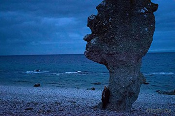 A la Recherche de Ingmar Bergman