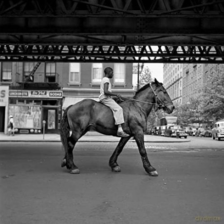 A la recherche de Vivian Maier- Édition simple