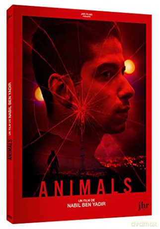 Animals (Zwierzęta) [DVD]