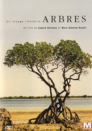 Arbres