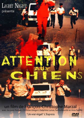 Attention aux chiens