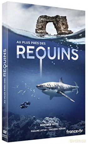 Au Plus pres des Requins