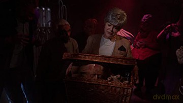 Basket Case 2 (Frere de Sang 2)