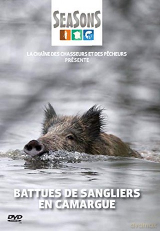 Battues de sangliers en Camargue
