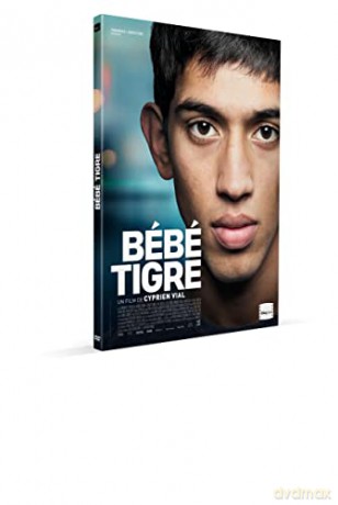 Bébé Tigre