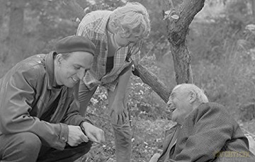 Bergman, Une année dans Une Vie