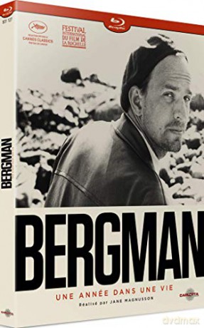 Bergman, Une année dans Une Vie