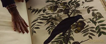Birds of America