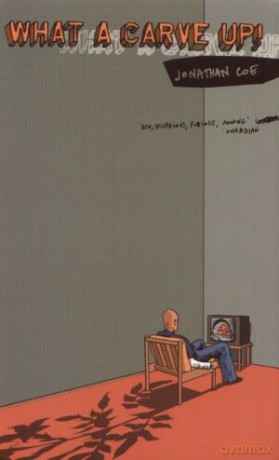 Pakiet A home at the end of the Word/What a carve up/Cold comfort farm - Jonathan Coe, Michael Cunningham, Stella Gibbons [KSIĄŻKA]