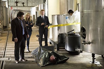 Brokenwood-Saison 1