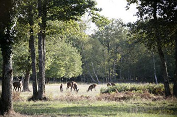 Chambord