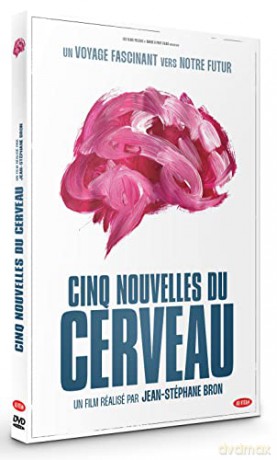 Cinq nouvelles du cerveau