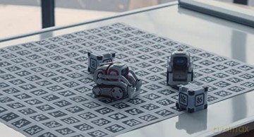 Cinq nouvelles du cerveau