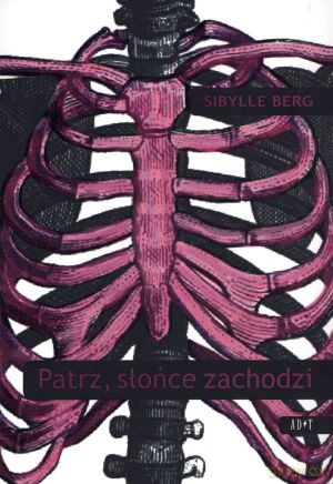 Patrz, słońce zachodzi - Sibylle Berg [KSIĄŻKA]