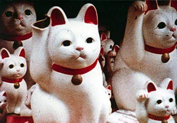 Coffret Chris Marker-La jetée + sans Soleil