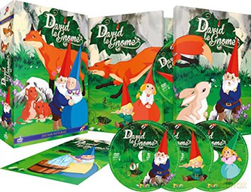 Coffret intégrale David Le GNOME