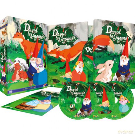 Coffret intégrale David Le GNOME
