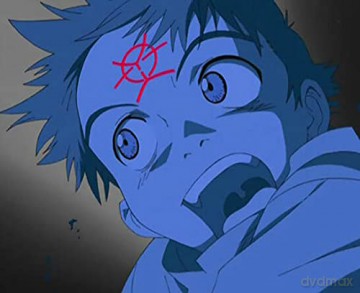 Coffret intégrale FLCL