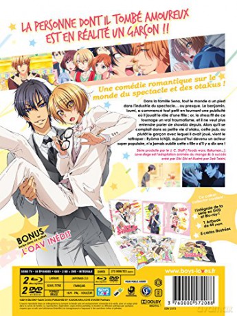 Coffret intégrale Love Stage