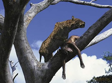 COFFRET SUR LA TERRE DES DINOSAURES - L'INTEGRALE 7