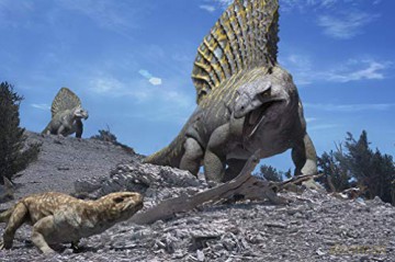 COFFRET SUR LA TERRE DES DINOSAURES - L'INTEGRALE 7