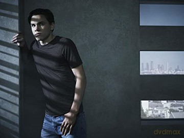 Colony - Intégrale saison 1 - Coffret 4